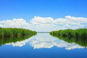 生态湿地 桃花源