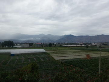 乡村风景