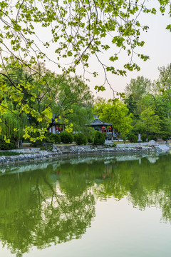 洋溪湖风景