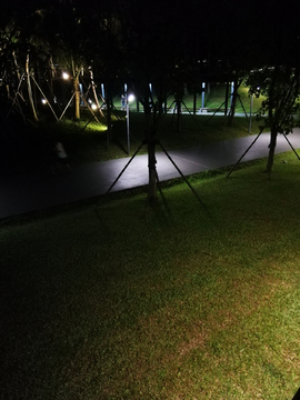公园夜景
