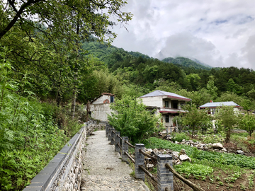 山村 小路 秦岭 别墅