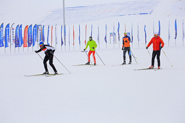 冬季越野滑雪运动