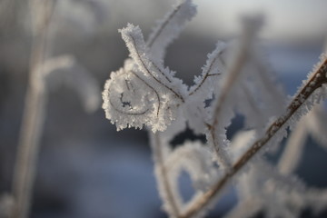 雾淞 雪景 冰天雪地 奇观 玉