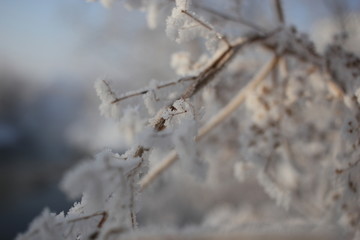 雾淞 雪景 冰天雪地 奇观 玉