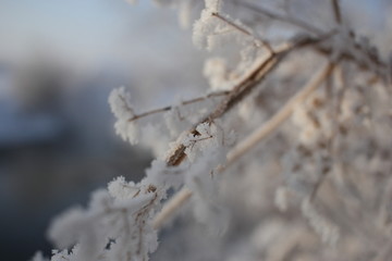 雾淞 雪景 冰天雪地 奇观 玉