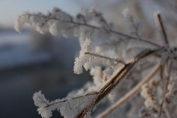 雾淞 雪景 冰天雪地 奇观 玉