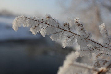 雾淞 雪景 冰天雪地 奇观 玉