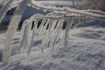 雾淞 雪景 冰天雪地 奇观 玉