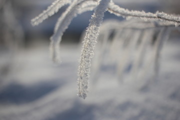 雾淞 雪景 冰天雪地 奇观 玉