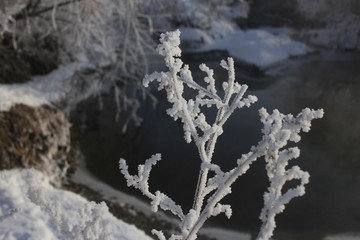 雾淞 雪景 冰天雪地 奇观 玉