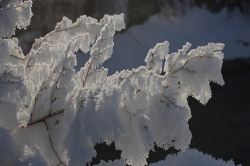 雾淞 雪景 冰天雪地 奇观 玉