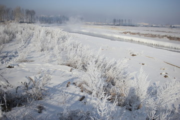 冰天雪地 冰川冻土 雪景 树挂