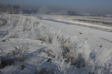 冬景 雪景 冰天雪地 树挂