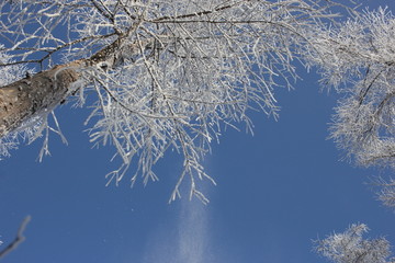 雾淞 雪景 冰天雪地 奇观 玉