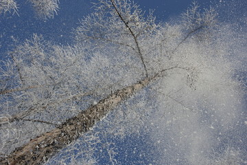 雾淞 雪景 冰天雪地 奇观 玉