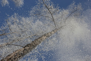 雾淞 雪景 冰天雪地 奇观 玉