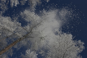 雾淞 雪景 冰天雪地 奇观 玉