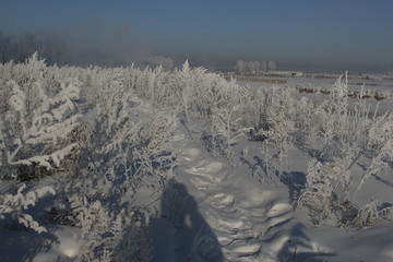 雾淞 雪景 冰天雪地 奇观 玉