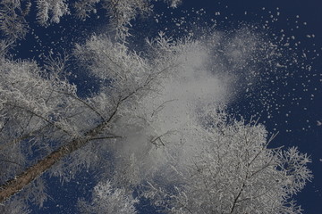 雾淞 雪景 冰天雪地 奇观 玉