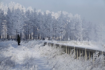 雾淞 雪景 冰天雪地 奇观 玉