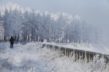 雾淞 雪景 冰天雪地 奇观 玉