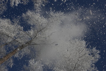 雾淞 雪景 冰天雪地 奇观 玉