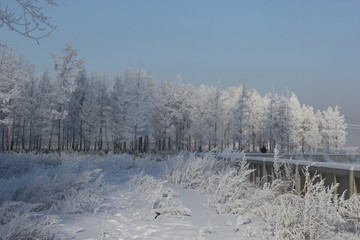 雾淞 雪景 冰天雪地 奇观 玉