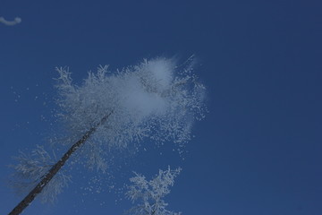 雾淞 雪景 冰天雪地 奇观 玉