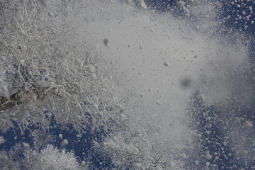 雾淞 雪景 冰天雪地 奇观 玉