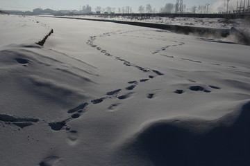 冬景 雪景 冰天雪地 树挂 冰