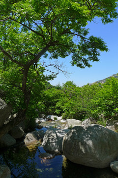 山东省 青岛市 崂山风光