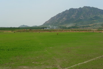 山东省 临沂市 莒南县田园风光