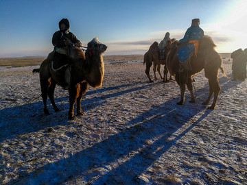骑骆驼的蒙古族