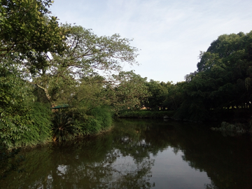 园林风景