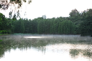 水雾风景