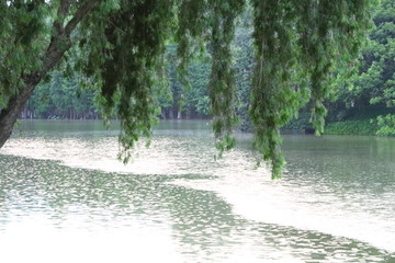 雨景