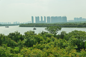美麗鄉村