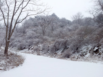 青岛市 城阳 三标山 雪景雾凇