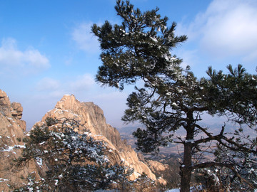 青岛市 城阳区 三标山 雪景