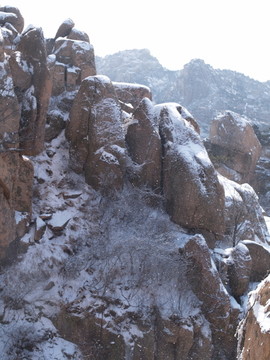 青岛市 城阳区 三标山 雪景