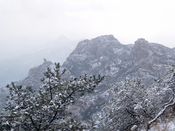 青岛市 城阳 三标山 雪景