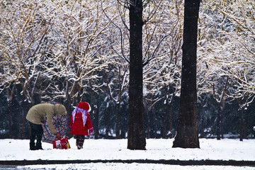 雪地里