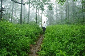 余姚旅游