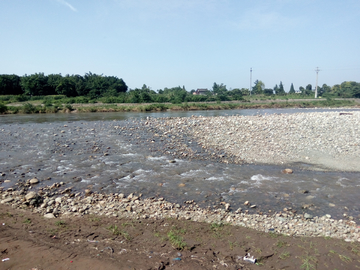 东湖湿地公园风景