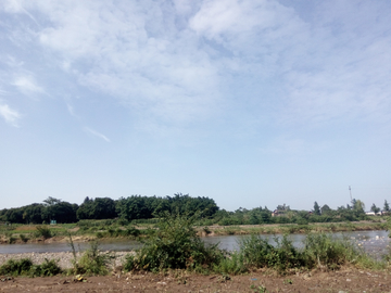 东湖湿地公园风景