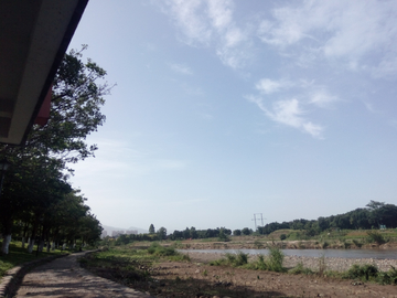 东湖湿地公园风景