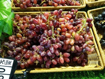 水果 蔬菜 有机蔬菜水果 食