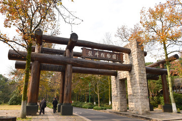 杭州植物园 大门
