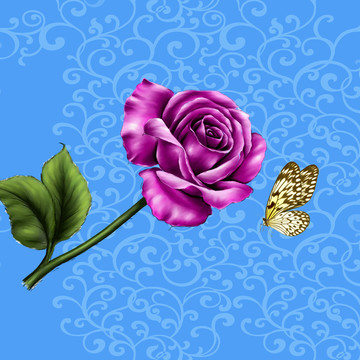 玫瑰花