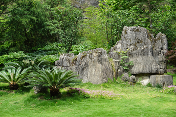 公园景观 假山